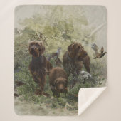 Der Pudelpointer Sherpadecke (Vorderseite)