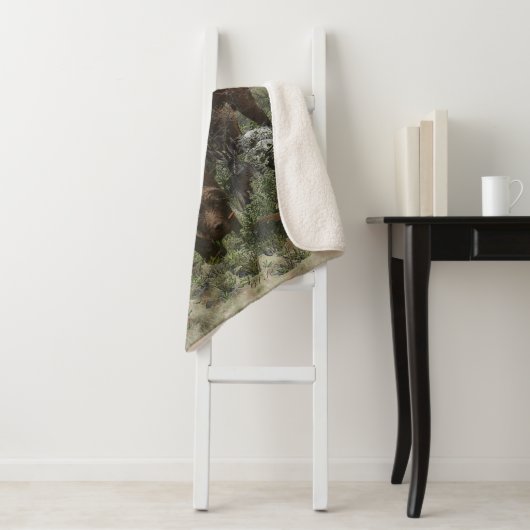 Der Pudelpointer Sherpadecke (Beispiel)