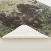 Der Pudelpointer Sherpadecke (3/4)