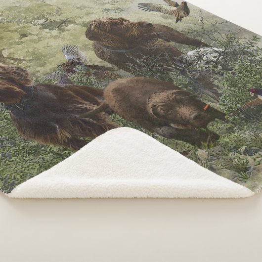 Der Pudelpointer Sherpadecke (3/4)