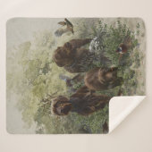 Der Pudelpointer Sherpadecke (Vorderseite (Horizontal))