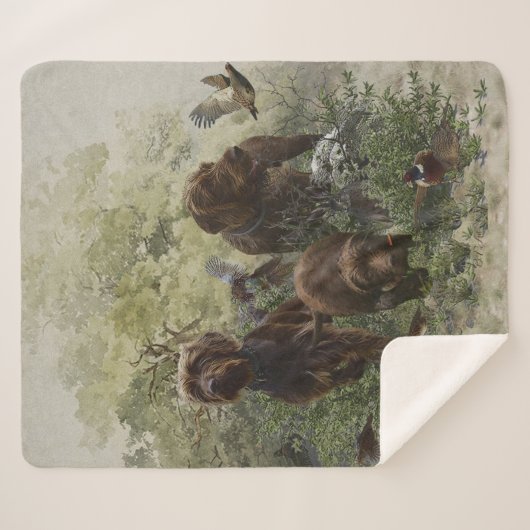 Der Pudelpointer Sherpadecke (Vorderseite (Horizontal))