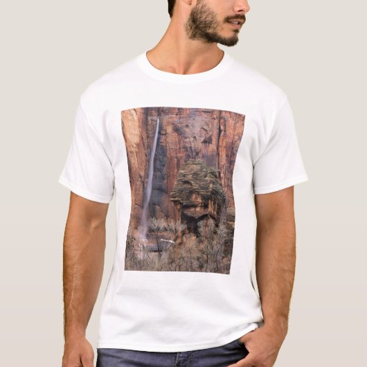 Der Pulpit und der flüchtige Wasserfall T-Shirt (Vorderseite)