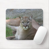 Der Puma Mousepad (Mit Mouse)