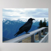 Der Rabe Poster (Vorne)