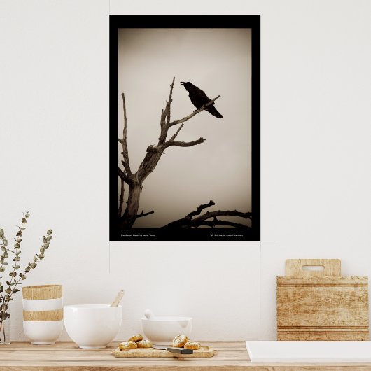 Der Rabe Poster (Küche)