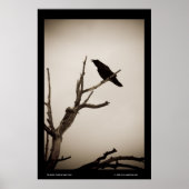 Der Rabe Poster (Vorne)