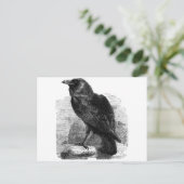 Der Rabe Postkarte (Stehend Vorderseite)
