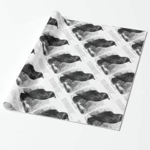 Der Rabe von Edgar Allan Poe Geschenkpapier