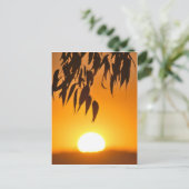 Der Rahmen der Natur Postkarte (Stehend Vorderseite)