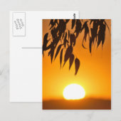 Der Rahmen der Natur Postkarte (Vorne/Hinten)