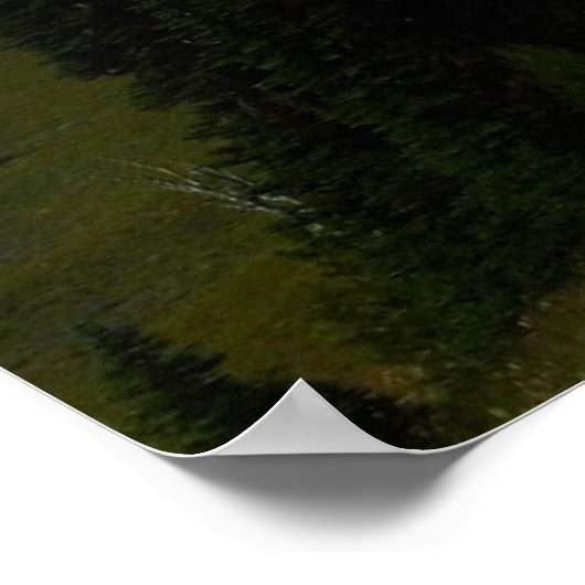 Der Rainier vom Sourdough Ridge Trail Poster (Ecke)