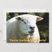 Der RAM Einladung (Vorderseite)