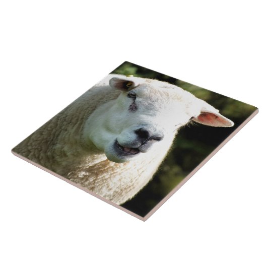 Der RAM Fliese (Seite)