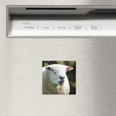 Der RAM Magnet (In Situ (Geschirrspüler))