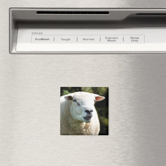 Der RAM Magnet (In Situ (Geschirrspüler))