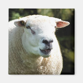 Der RAM Magnet (Vorne)