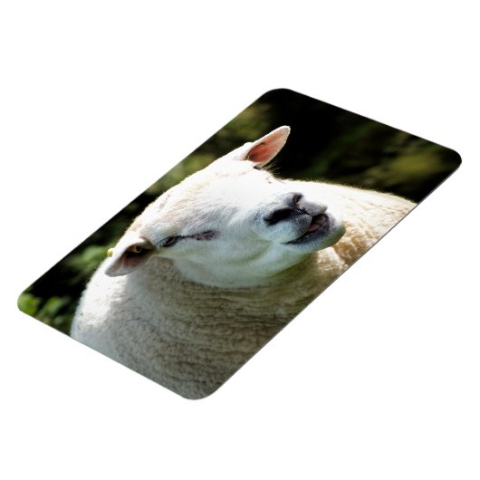 Der RAM Magnet (Linke Seite)