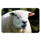 Der RAM Magnet (Horizontal)