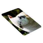 Der RAM Magnet (Rechte Seite)