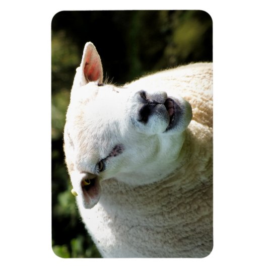 Der RAM Magnet (Vertikal)