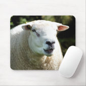 Der RAM Mousepad (Mit Mouse)