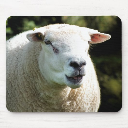 Der RAM Mousepad (Vorne)