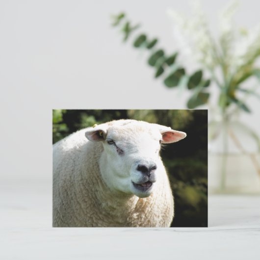 Der RAM Postkarte (Stehend Vorderseite)