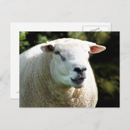 Der RAM Postkarte (Vorne/Hinten)