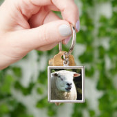 Der RAM Schlüsselanhänger (Hand)