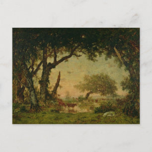 Der Rand des Waldes in Fontainebleau Postkarte