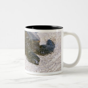 Der Rand des Wassers Zweifarbige Tasse