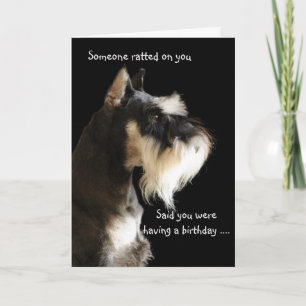 Der Ratter ... Karte