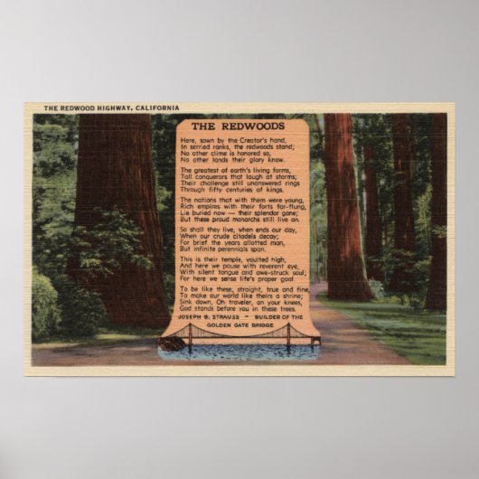 Der Redwood Highway, Gedicht von Strauß Poster (Vorne)