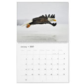 Der Regal Bald Eagle Kalender (Jan 2027)