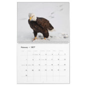 Der Regal Bald Eagle Kalender (Feb 2027)