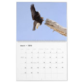 Der Regal Bald Eagle Kalender (Mär 2026)