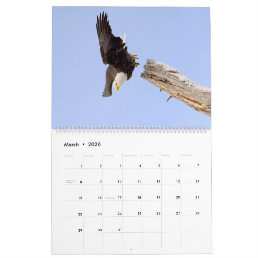 Der Regal Bald Eagle Kalender (Mär 2026)