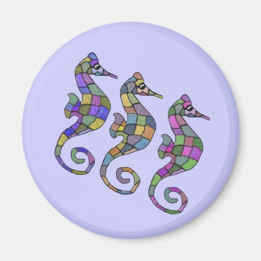 Der Regenbogen des Seepferds Magnet (Vorne)