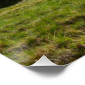 Der Regenstein, die schwarze Kante Poster (Ecke)