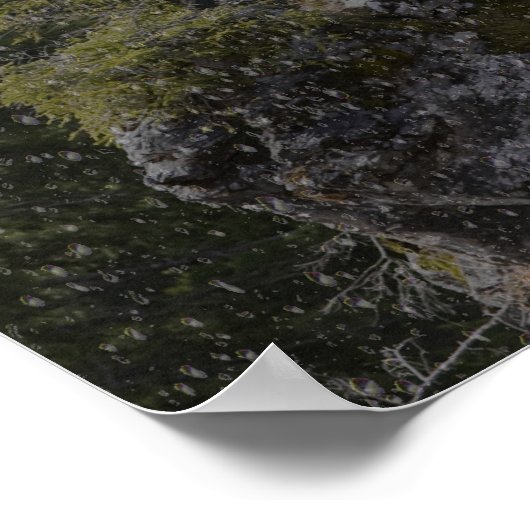 Der Regentag 16x20 Poster (Ecke)