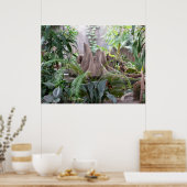 Der Regenwald Poster (Küche)