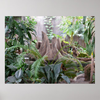 Der Regenwald Poster