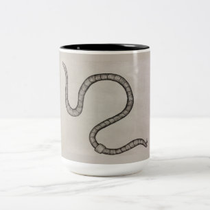 Der Regenwurm Zweifarbige Tasse
