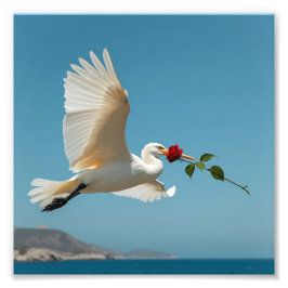 Der reisende Vogel Fotodruck