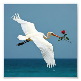 Der reisende Vogel Fotodruck