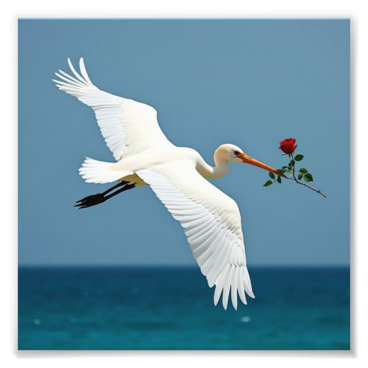 Der reisende Vogel Fotodruck (Vorne)