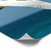 Der reisende Vogel Poster (Ecke)