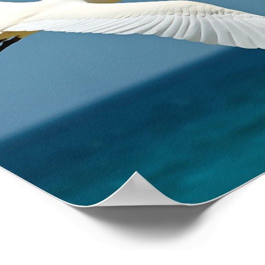 Der reisende Vogel Poster (Ecke)