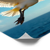 Der reisende Vogel Poster (Ecke)